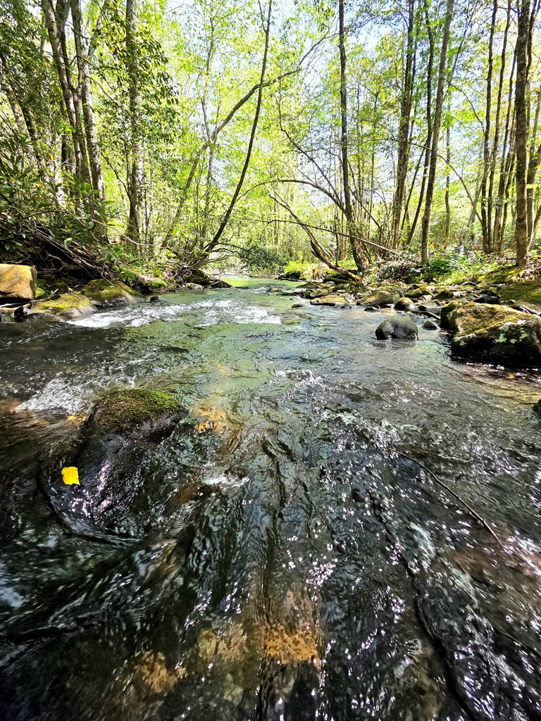 795 Porter Field Gap Road Robbinsville, NC 28771 - Photo 52 of 105