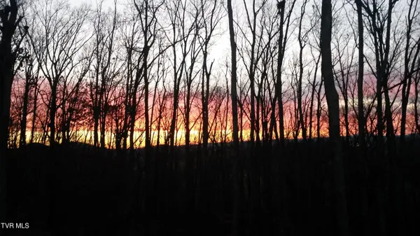 $795,000 | 1148 Cliffview Circle, Gray, TN 37615