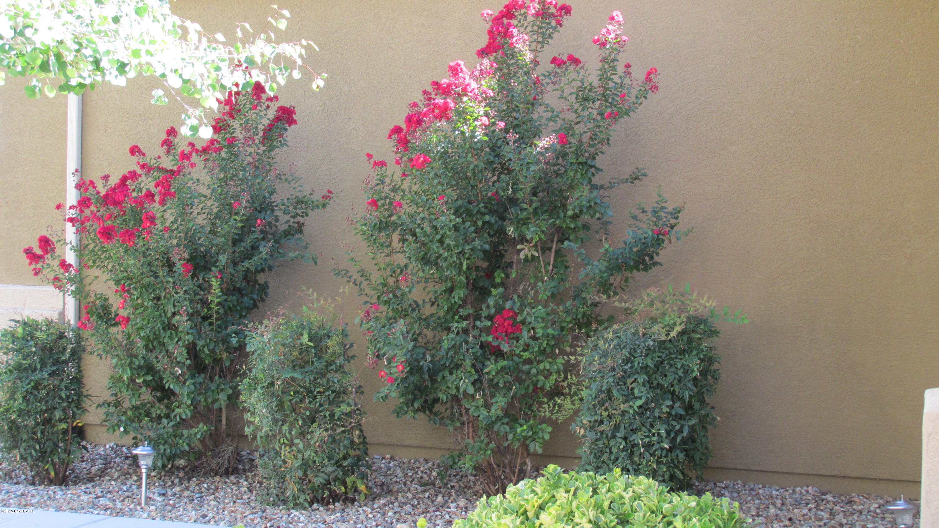 4770 Edgemont Road Prescott Valley, AZ 86314 - Photo 4 of 26 a view of a flower in a garden