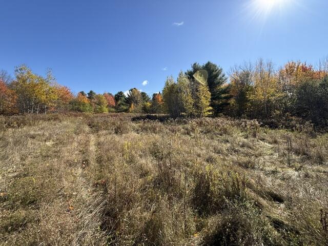 1556 Springfield Road Danforth, ME 04424 - Photo 10 of 14 IMG_0545