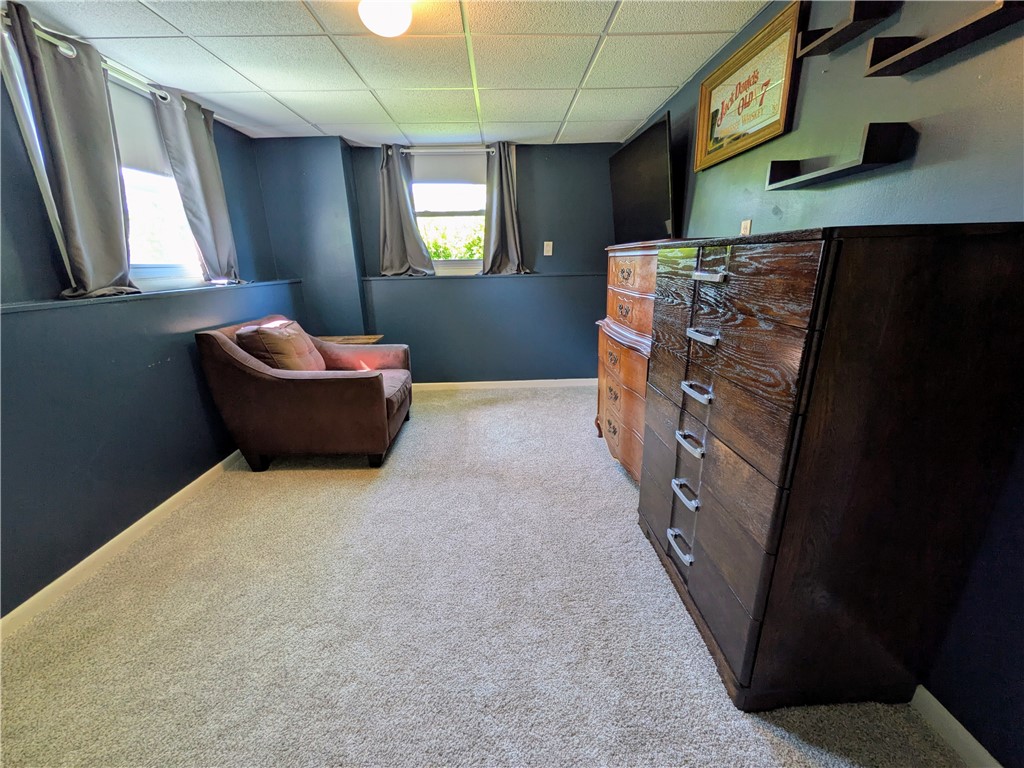 225 Meadowlark Road Horseheads, NY 14845 - Photo 41 of 49 Lower level Bedroom