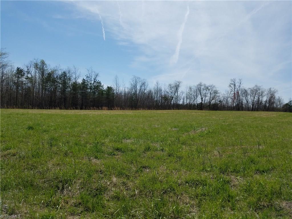 0 Underwood Road Elon, NC 27244 - Photo 2 of 5 Gallery Image 2