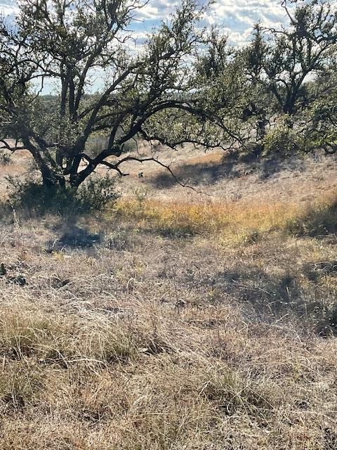 0 West Mountain Vw Road, Unit 3 Mason, TX 76856 - Photo 3 of 9