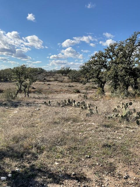 0 West Mountain Vw Road, Unit 3 Mason, TX 76856 - Photo 5 of 9