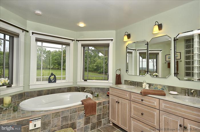 18340 Cattail Road Poolesville, MD 20837 - Photo 14 of 30 a bathroom with a tub a sink and large window