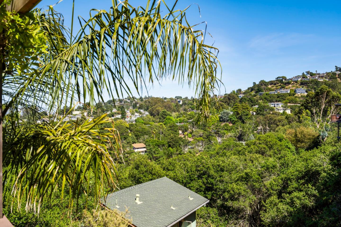 863 Viewridge Drive San Mateo, CA 94403 - Photo 30 of 50 a view of a yard
