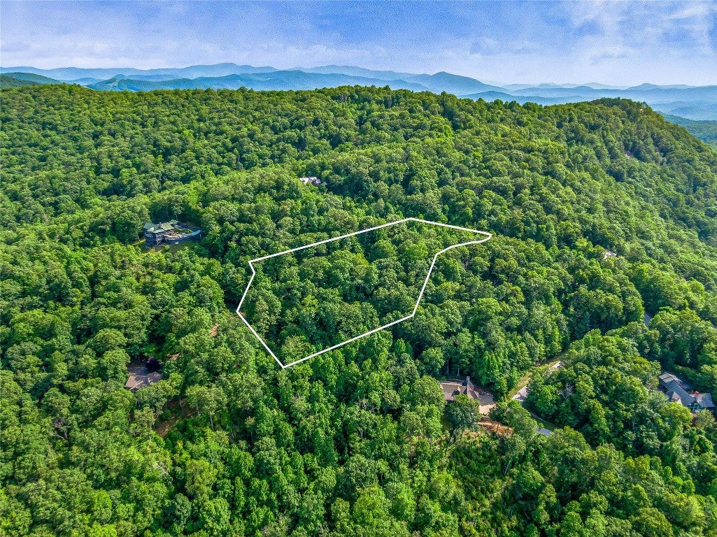 Lot 22 Panther Ridge Road Lake Toxaway, NC 28747 - Photo 8 of 28 Gallery Image 8