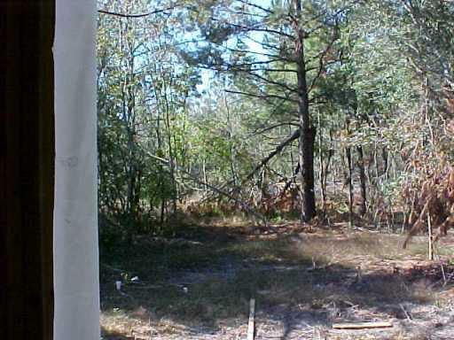 74347 Wilkinson Road Covington, LA 70435 - Photo 8 of 8 Gallery Image 8