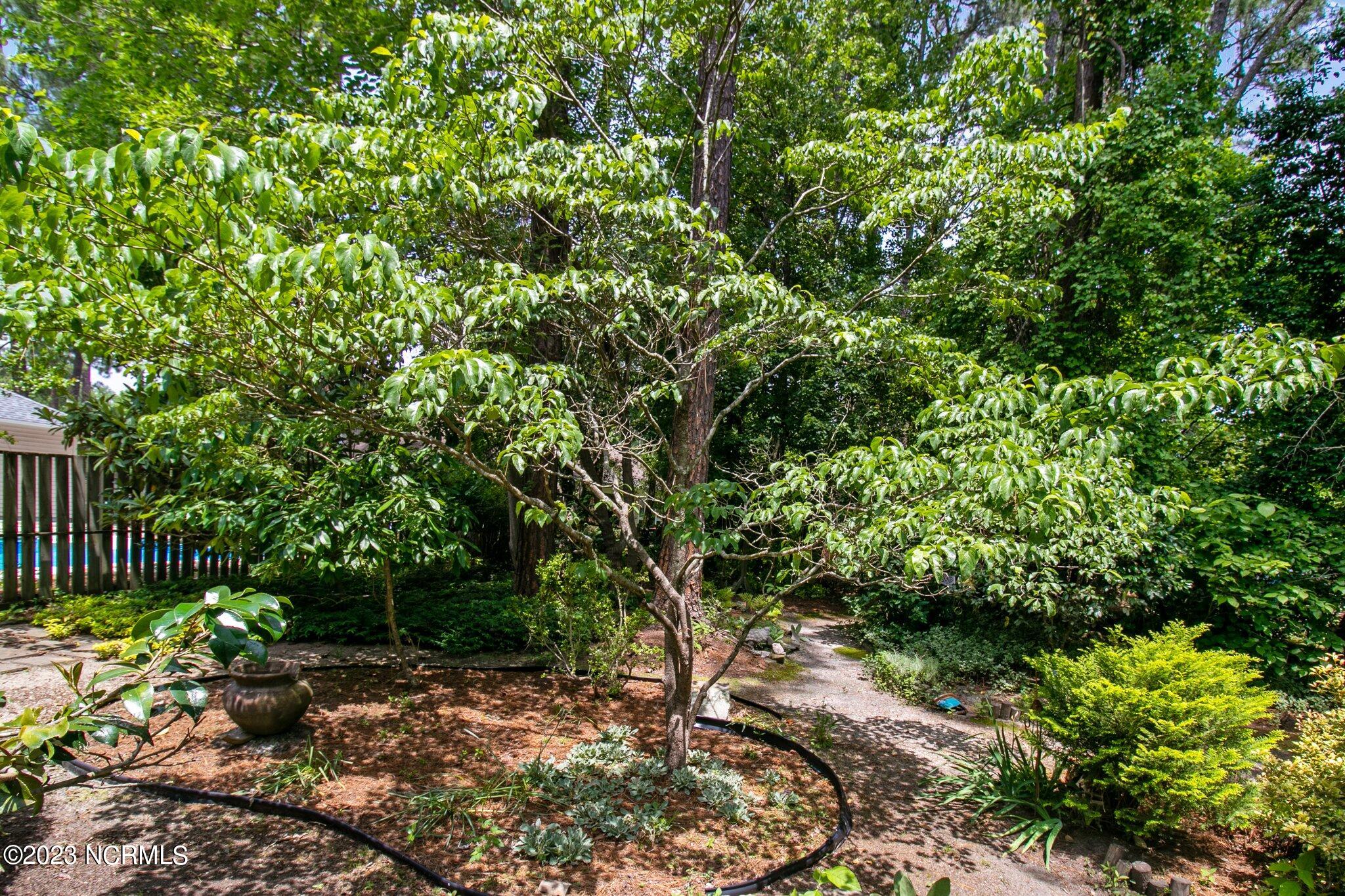 10 Apawamis Road Pinehurst, NC 28374 - Photo 56 of 73 Take a stroll with your morning beverage and enjoy nature.