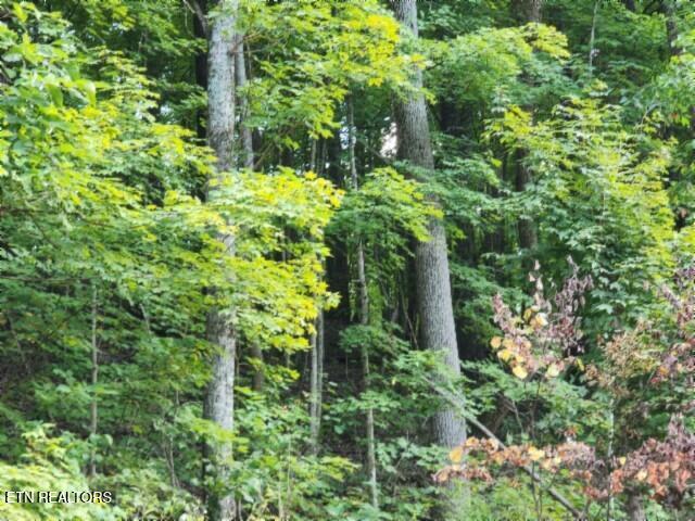 Lot 20 Apache Road Jamestown, TN 38556 - Photo 3 of 15 20250909_133226