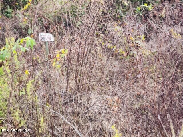 Lot 20 Apache Road Jamestown, TN 38556 - Photo 4 of 15 20250909_135357