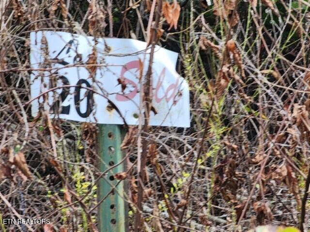 Lot 20 Apache Road Jamestown, TN 38556 - Photo 6 of 15 20250909_135350