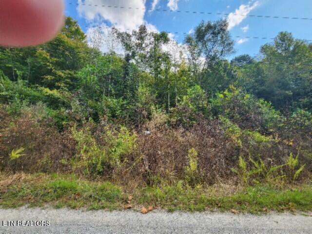 Lot 20 Apache Road Jamestown, TN 38556 - Photo 7 of 15 20250909_135411