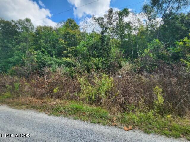 Lot 20 Apache Road Jamestown, TN 38556 - Photo 8 of 15 20250909_135415