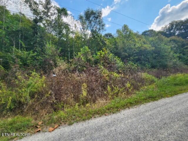 Lot 20 Apache Road Jamestown, TN 38556 - Photo 10 of 15 20250909_135418
