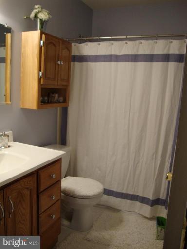 1108 Longbrook Road Lutherville-Timonium, MD 21093 - Photo 11 of 14 Full family bath totally redone
