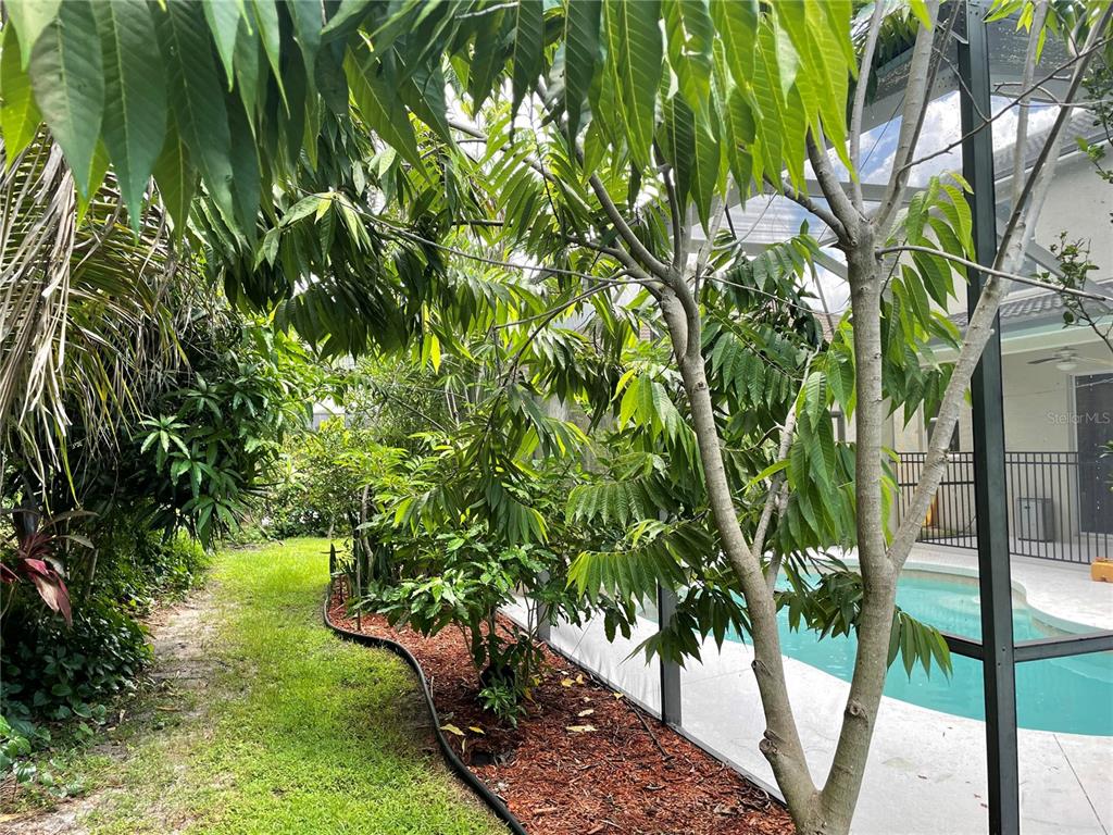 759 Fordingbridge Way Osprey, FL 34229 - Photo 50 of 50