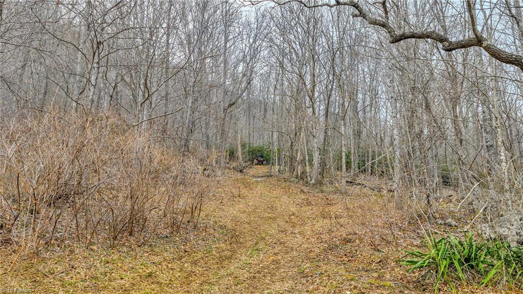 1 Three Top Road Todd, NC 28684 - Photo 5 of 27 Gallery Image 5