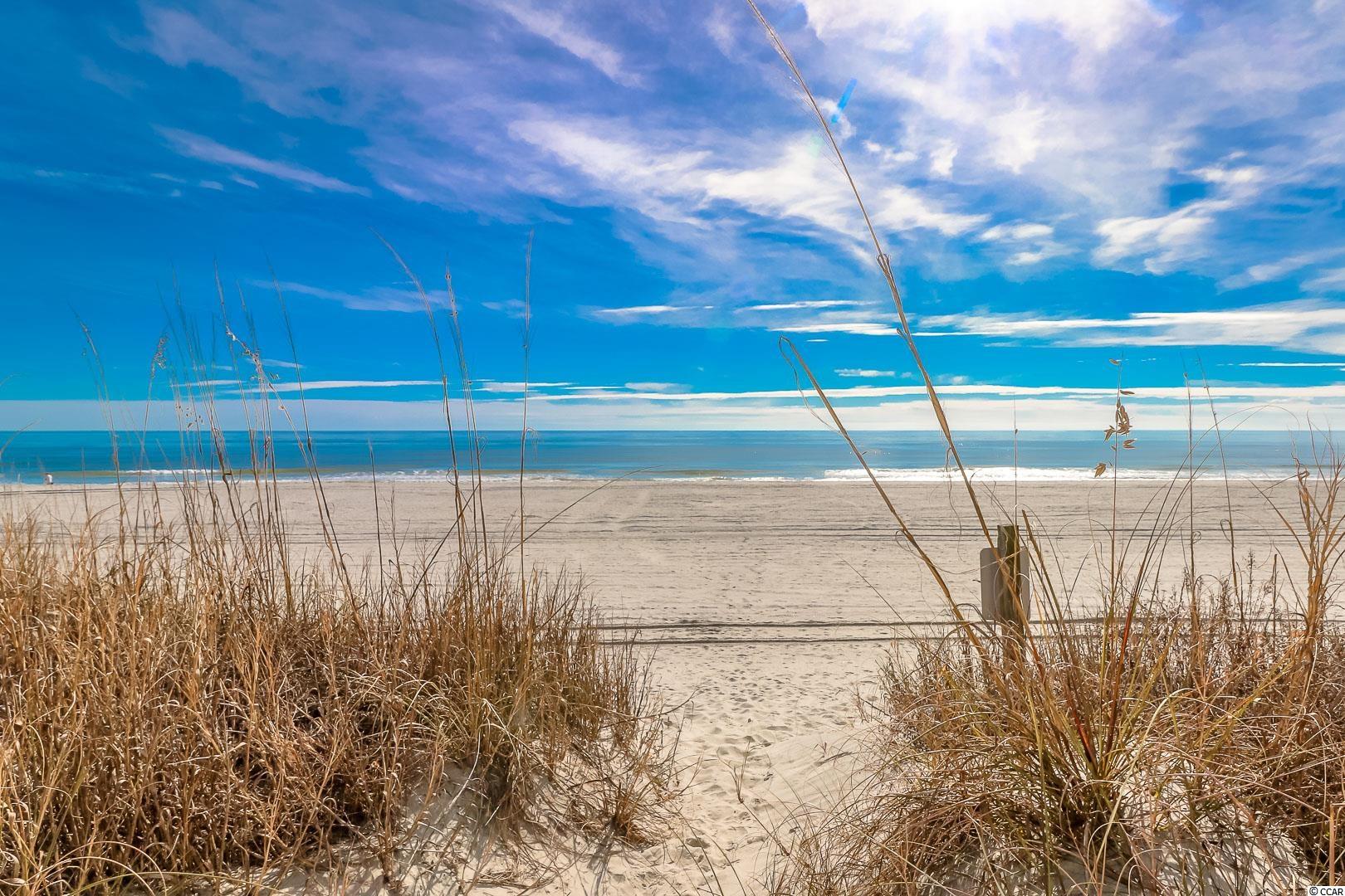 114 5th Avenue South Surfside Beach, SC 29575 - Photo 38 of 38