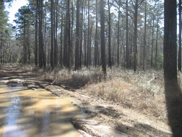 $389,000 | 0 Usf 505, Kennard, TX 75847