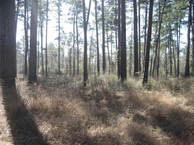 $389,000 | 0 Usf 505, Kennard, TX 75847