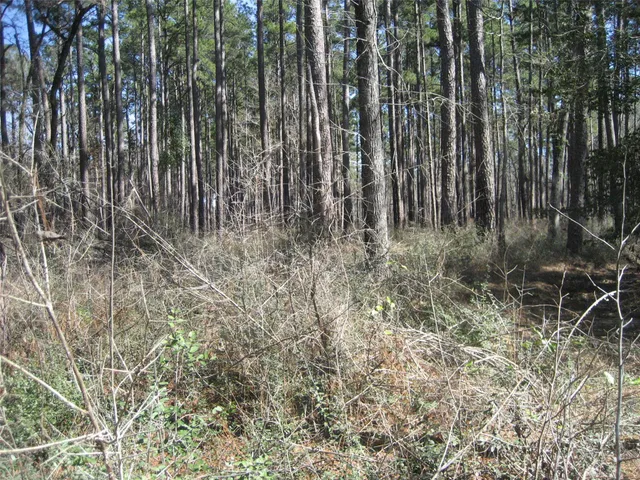 $389,000 | 0 Usf 505, Kennard, TX 75847