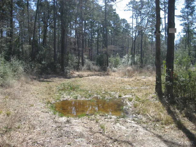 $389,000 | 0 Usf 505, Kennard, TX 75847