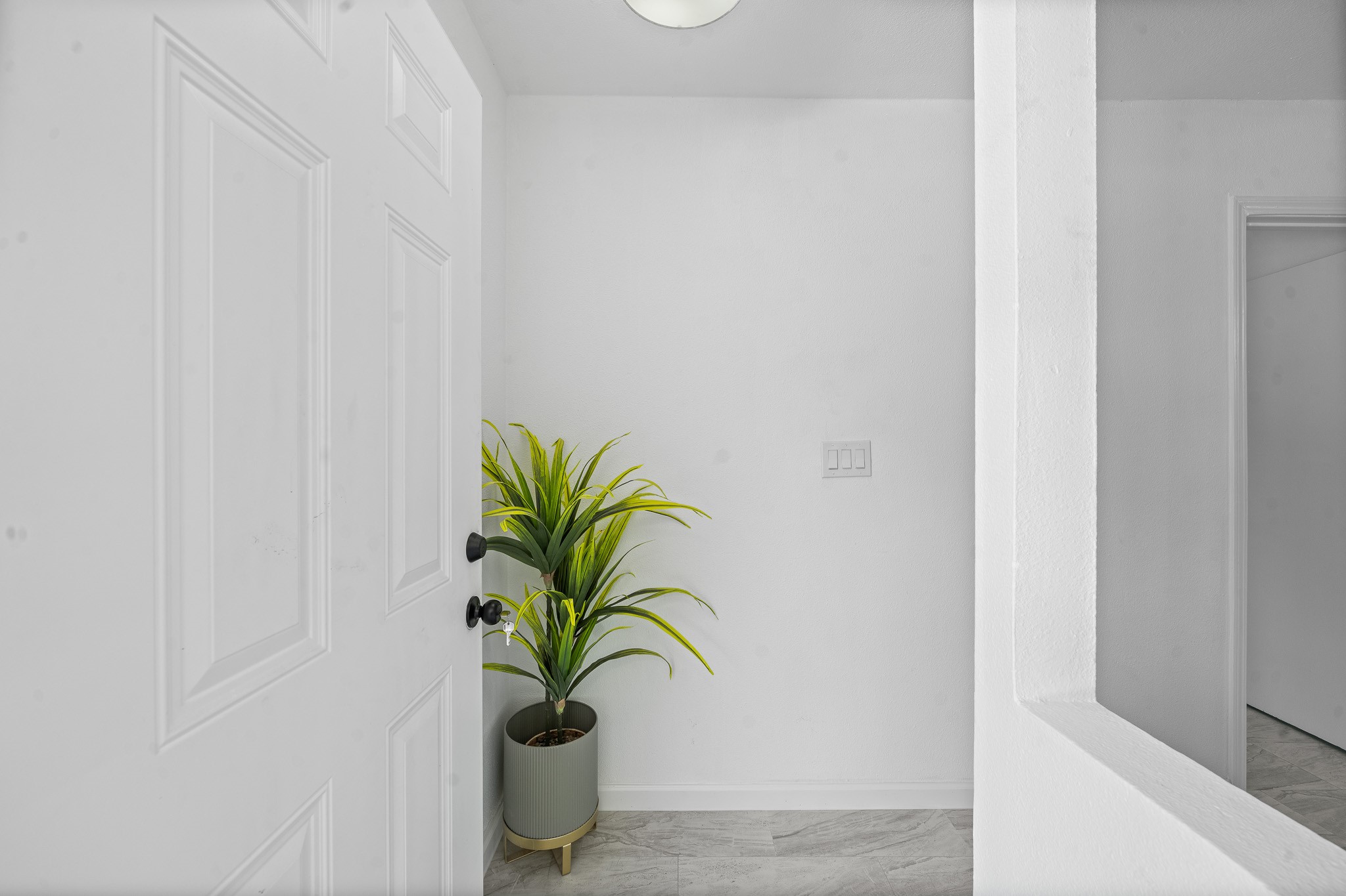 15415 West Hampton Circle Houston, TX 77071 - Photo 5 of 35 a potted plant sitting in a pot with a glass door