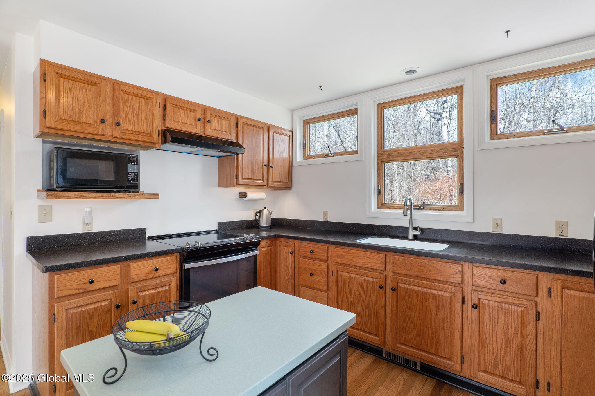 1631 Knight Road Delanson, NY 12053 - Photo 6 of 61 11-1631KnightRd_11