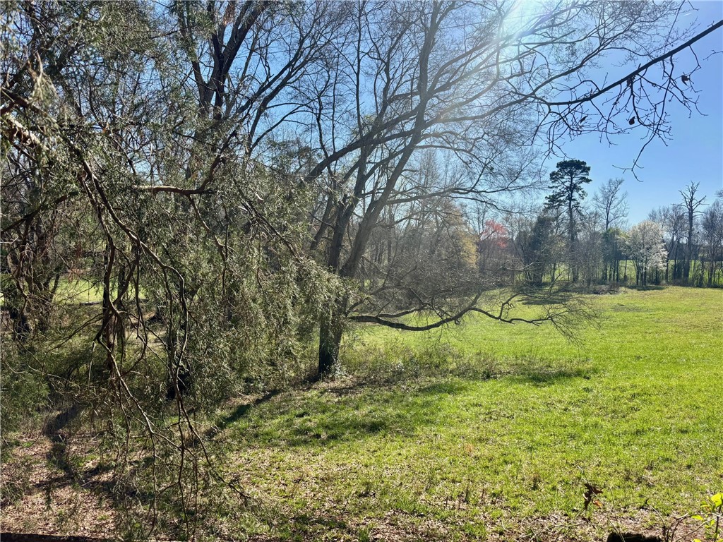 1C1 Thompson Road Pendleton, SC 29670 - Photo 3 of 4 Expansive green spaces and mature trees define this tranquil natural setting, offering endless possibilities.