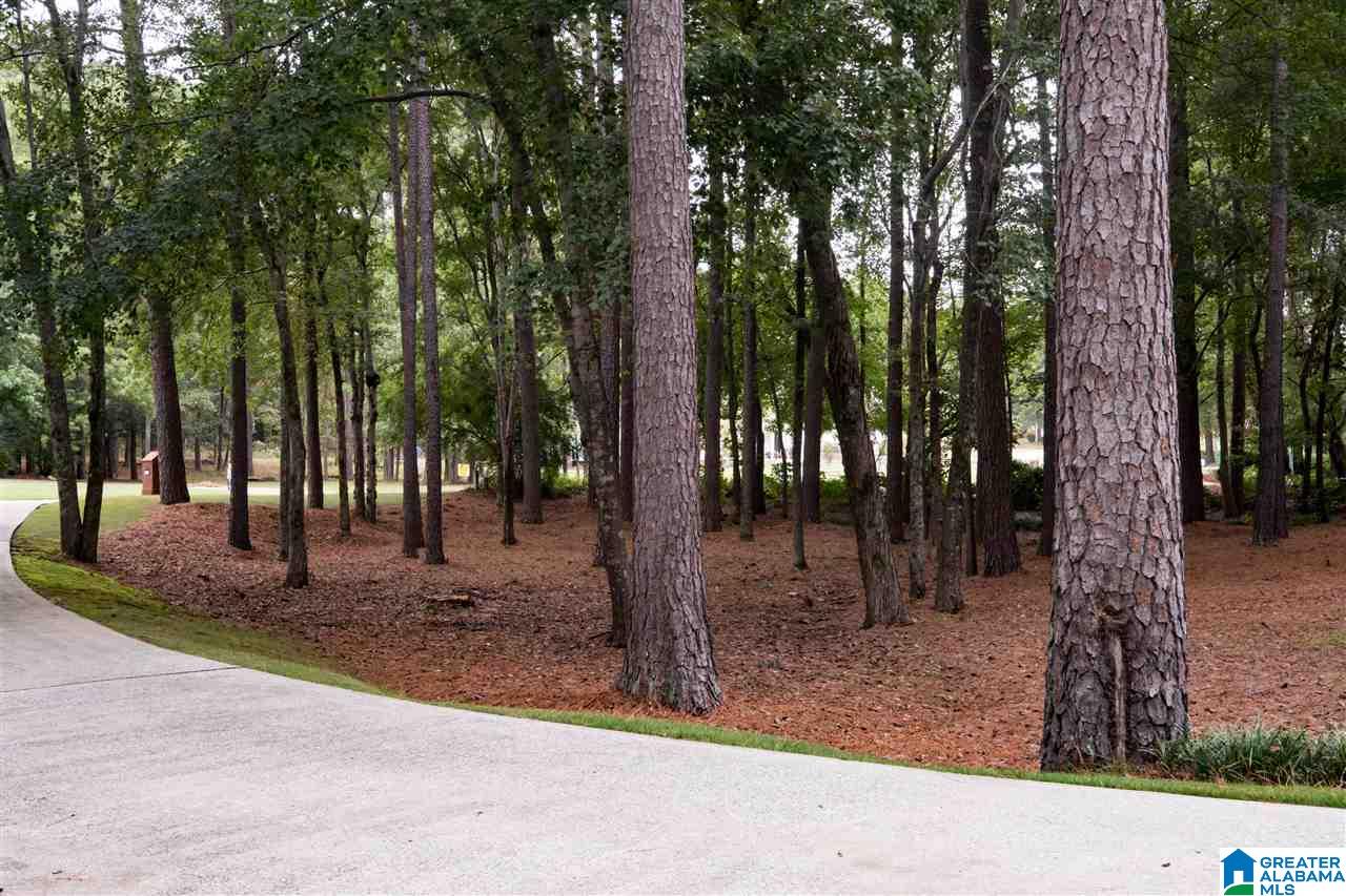 5093 Meadow Brook Road Birmingham, AL 35242 - Photo 45 of 47