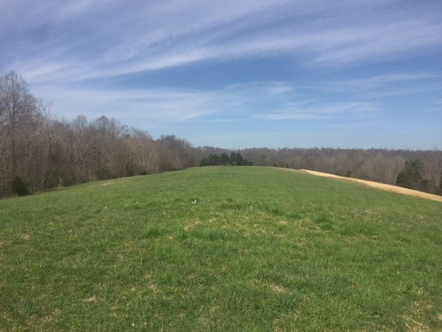 9999 Independence Ridge Road Breeding, KY 42715 - Photo 8 of 16 Gallery Image 8