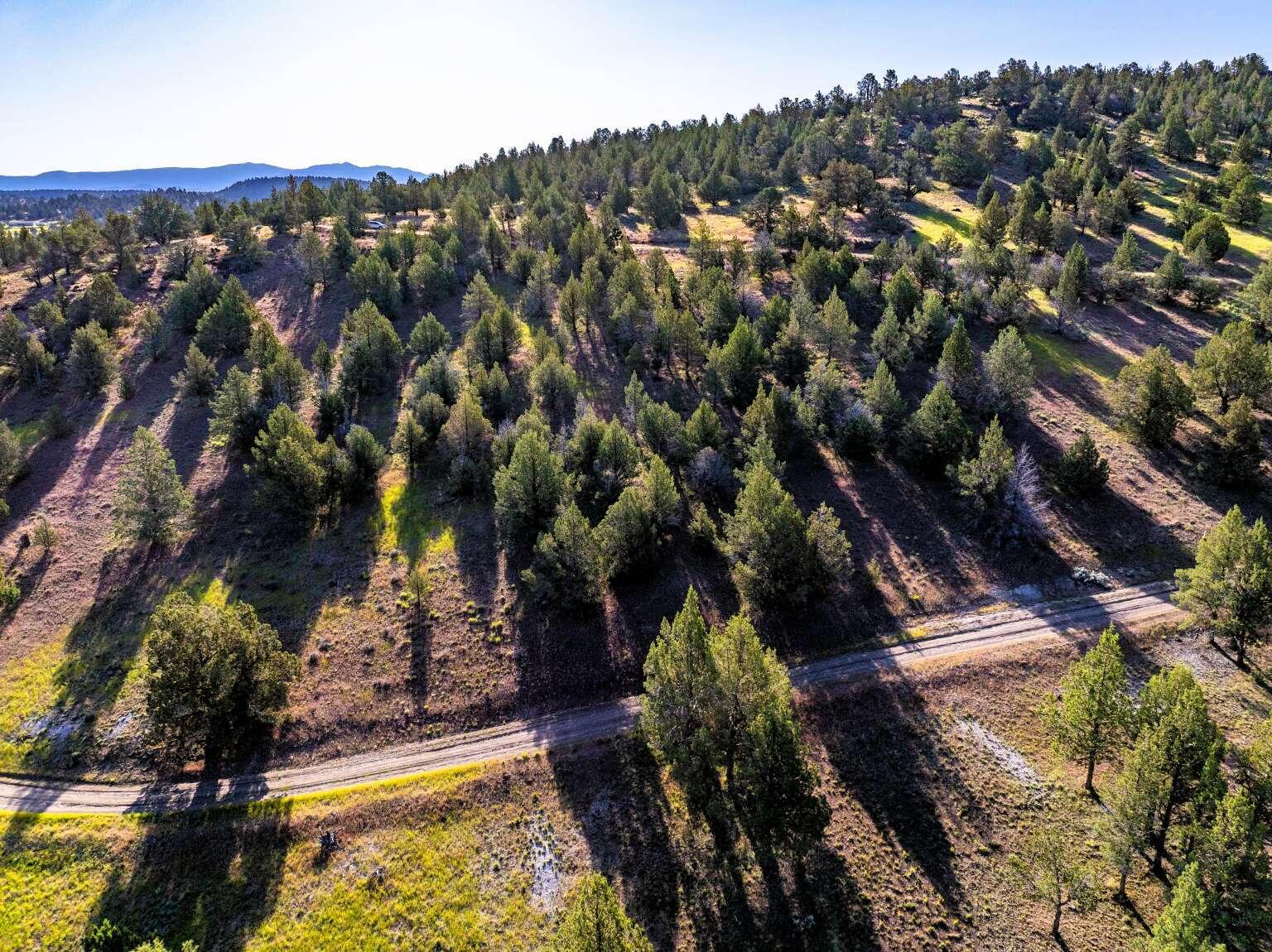 737 Raccoon Lane Alturas, CA 96101 - Photo 8 of 16 Dingman.8