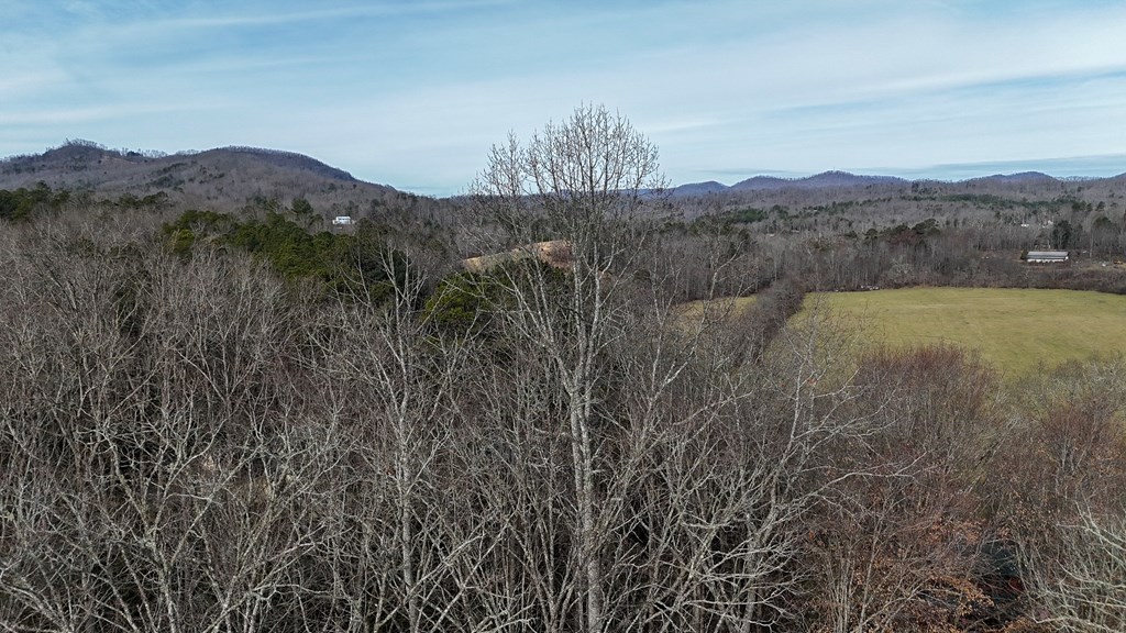 1950 Culberson Road Murphy, NC 28906 - Photo 19 of 20 Gallery Image 19