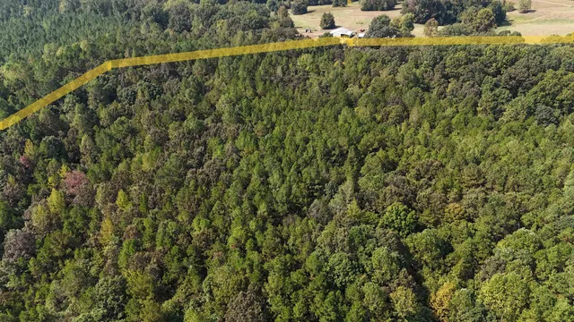 $129,000 | 0 County Road 227 Road, Walnut, MS 38683