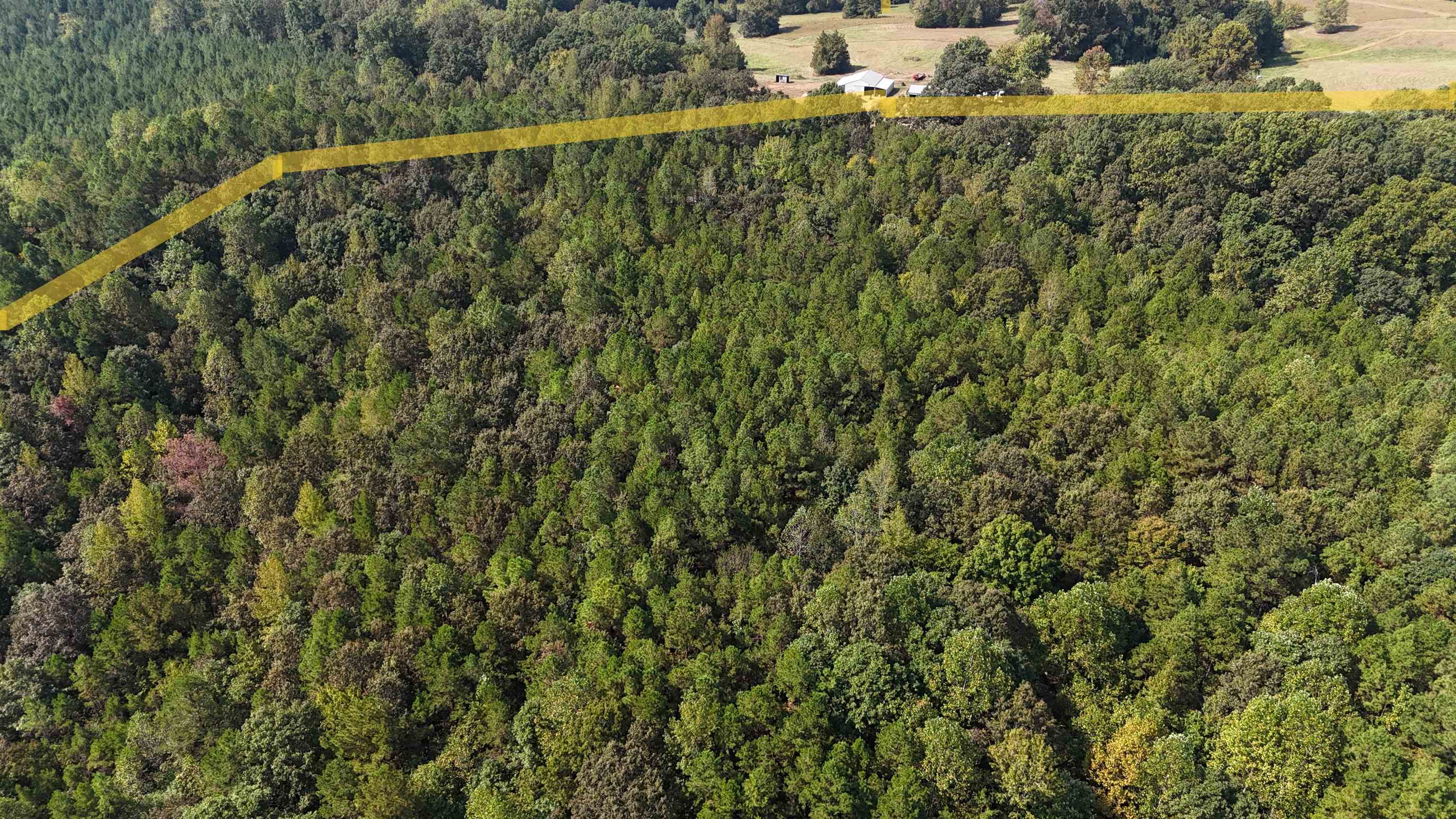 0 County Road 227 Road Walnut, MS 38683 - Photo 11 of 13 Aerial view of property's location