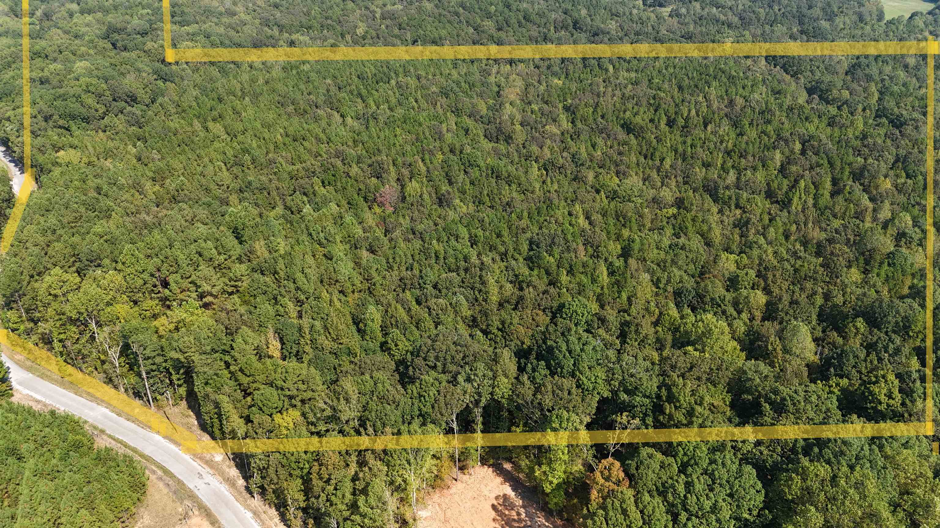 0 County Road 227 Road Walnut, MS 38683 - Photo 12 of 13 View of property location with property parcel outlined
