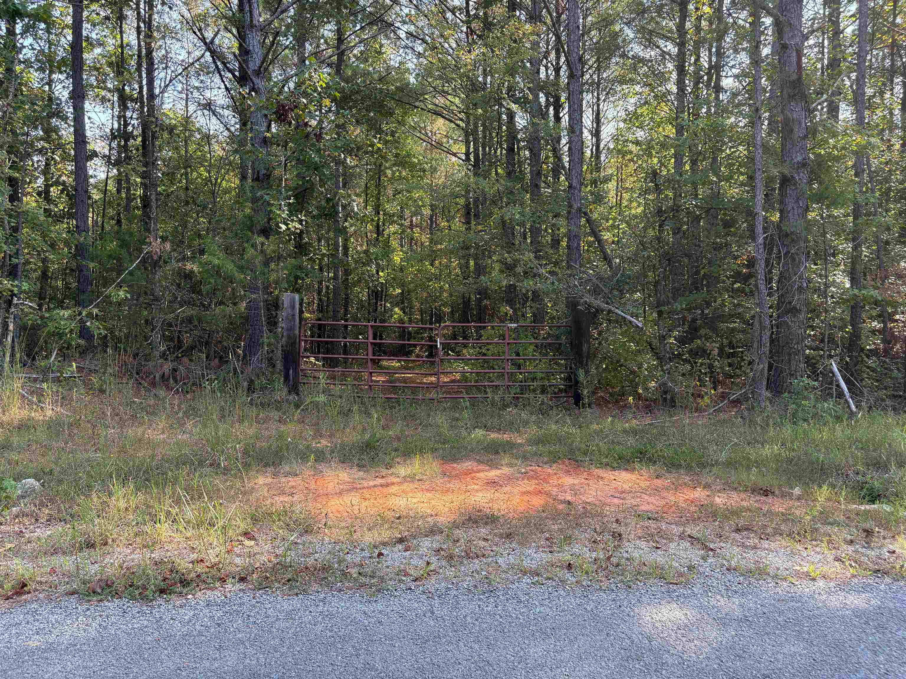 0 County Road 227 Road Walnut, MS 38683 - Photo 13 of 13 View of yard