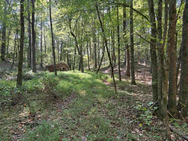 $129,000 | 0 County Road 227 Road, Walnut, MS 38683