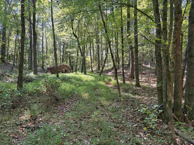 $129,000 | 0 County Road 227 Road, Walnut, MS 38683