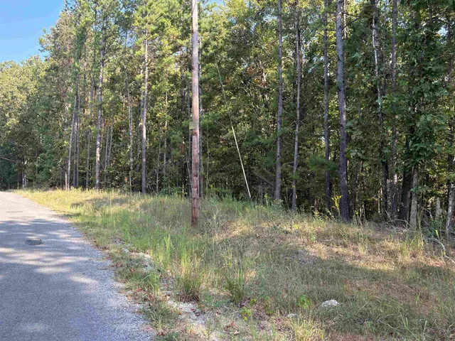 $129,000 | 0 County Road 227 Road, Walnut, MS 38683