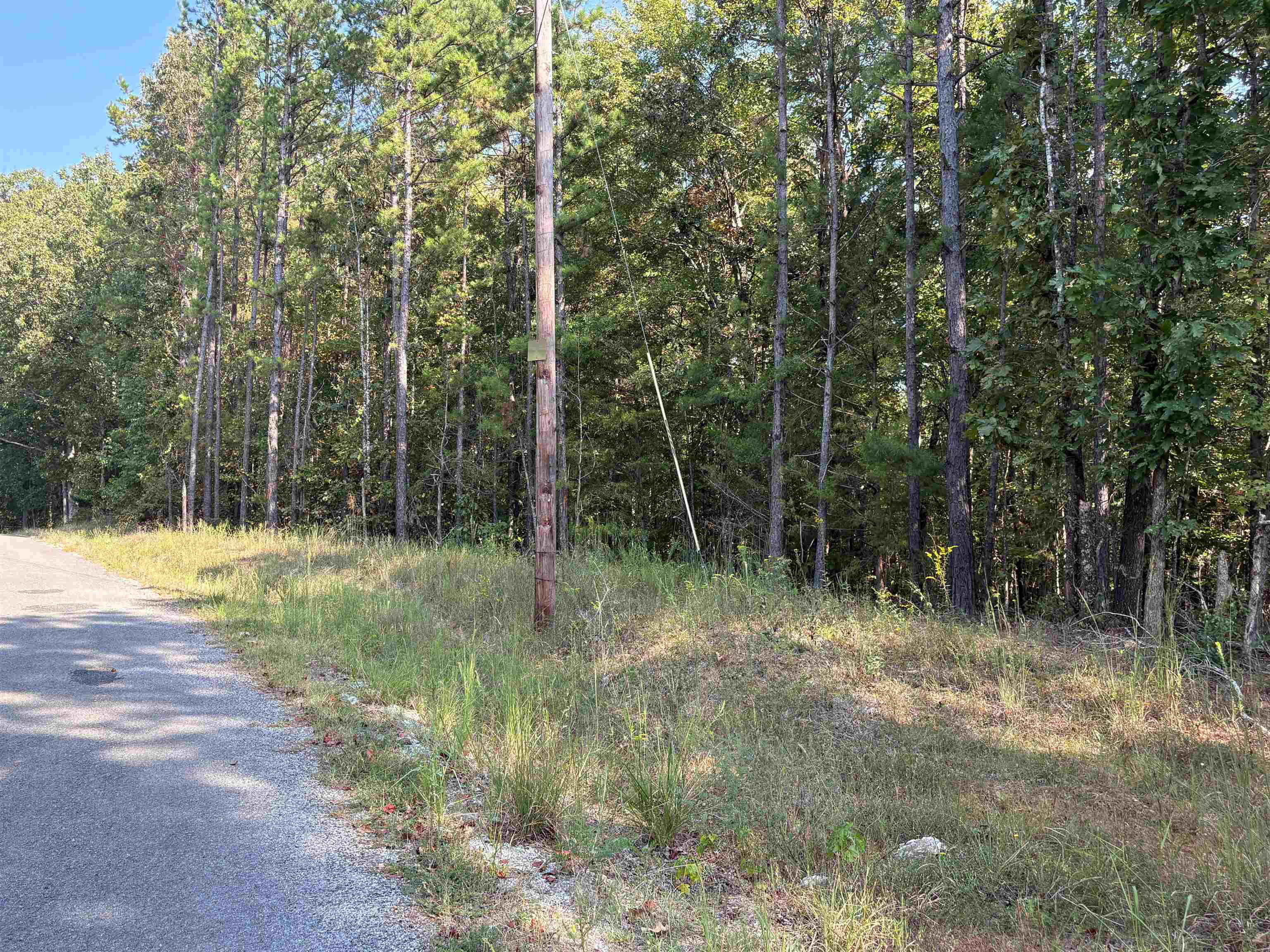 0 County Road 227 Road Walnut, MS 38683 - Photo 5 of 13 View of tree filled area