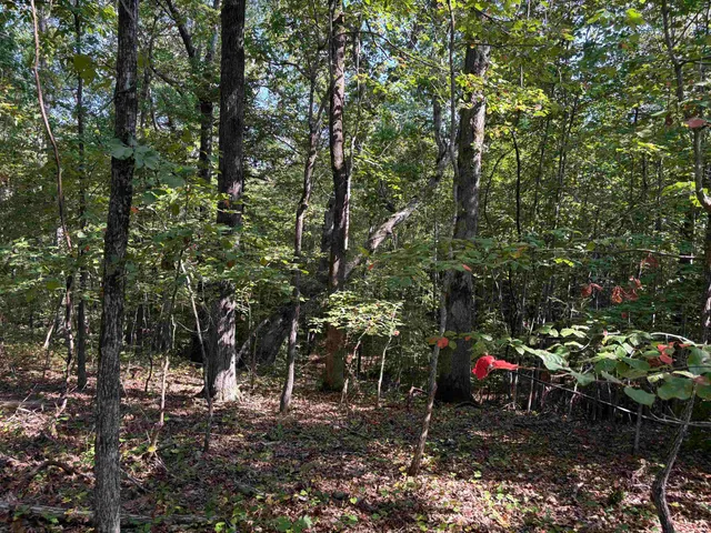 $129,000 | 0 County Road 227 Road, Walnut, MS 38683