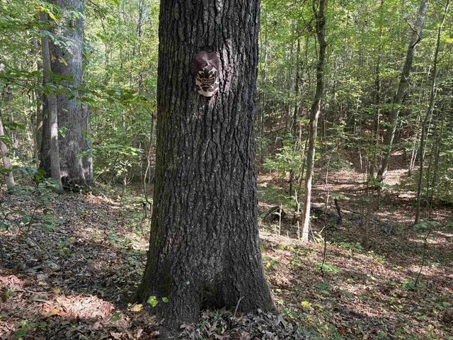 $129,000 | 0 County Road 227 Road, Walnut, MS 38683