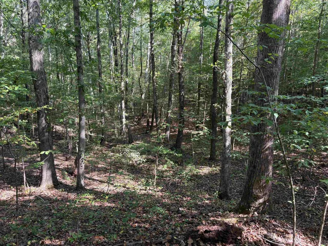 $129,000 | 0 County Road 227 Road, Walnut, MS 38683