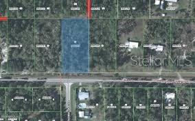 300 Georgetown Denver Road Georgetown, FL 32139 - Photo 1 of 1 Gallery Image 1
