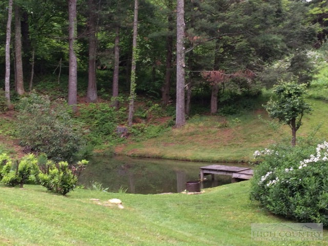 376 Wolf Branch Road Sparta, NC 28675 - Photo 11 of 15 Gallery Image 11