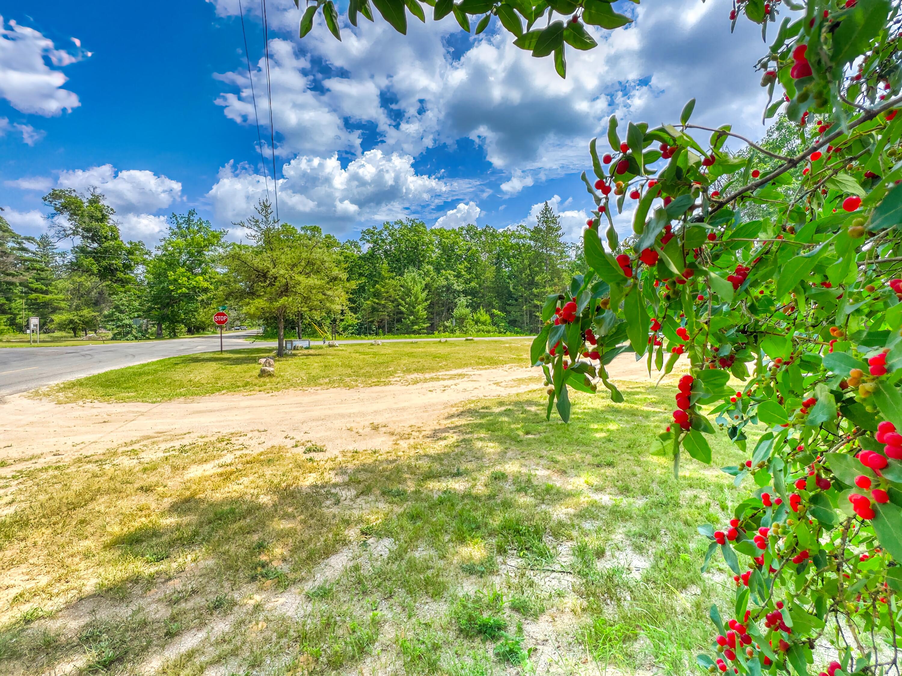 3973 East 3 Mile Road Luther, MI 49656 - Photo 2 of 49 IMG_2825_HDR