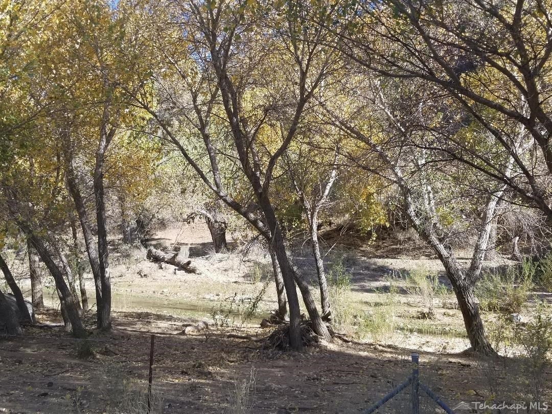 19318 Caliente Creek Road Caliente, CA 93518 - Photo 9 of 26 Gallery Image 9