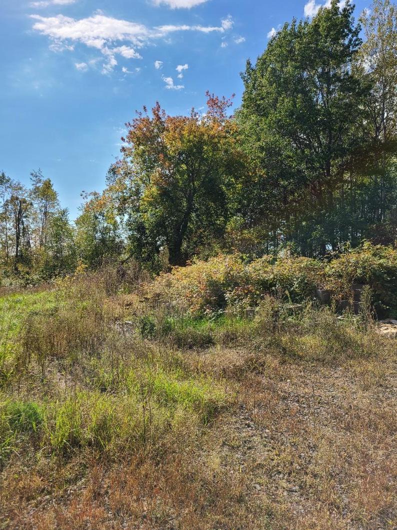 23673 Monument Road Brook Park, MN 55007 - Photo 1 of 1 Gallery Image 1